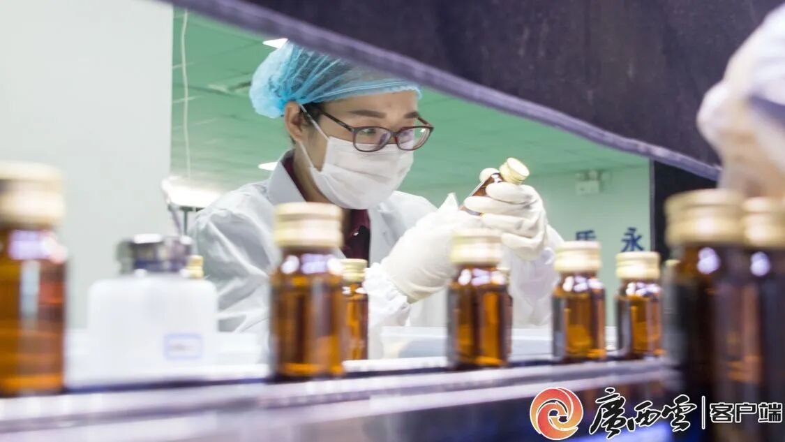 廣西日報(bào)聚焦天緣綠：從產(chǎn)品創(chuàng)新到行業(yè)標(biāo)準(zhǔn)，引領(lǐng)芭蕉健康產(chǎn)業(yè)升級